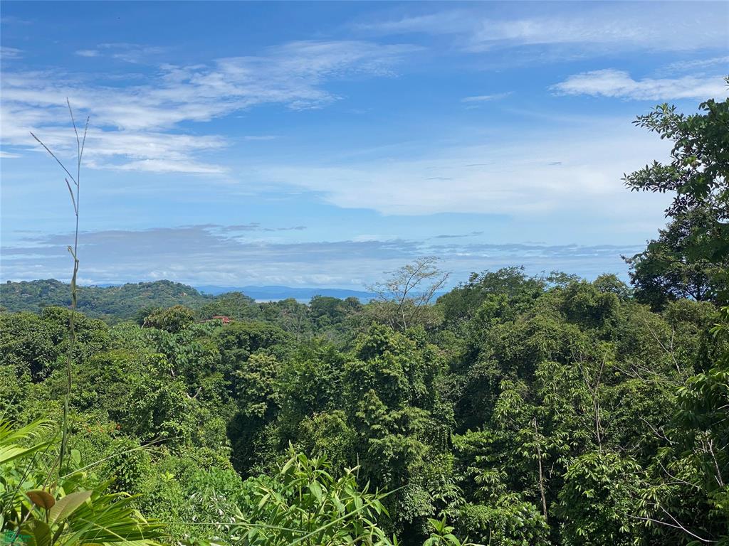 Land at Puerta Del Sol, Ojochal
