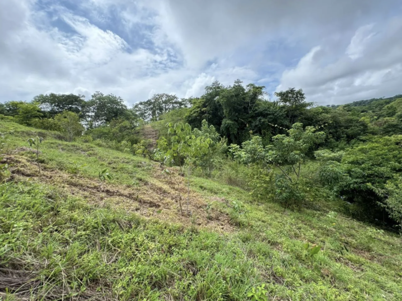 Terreno en Cóbano