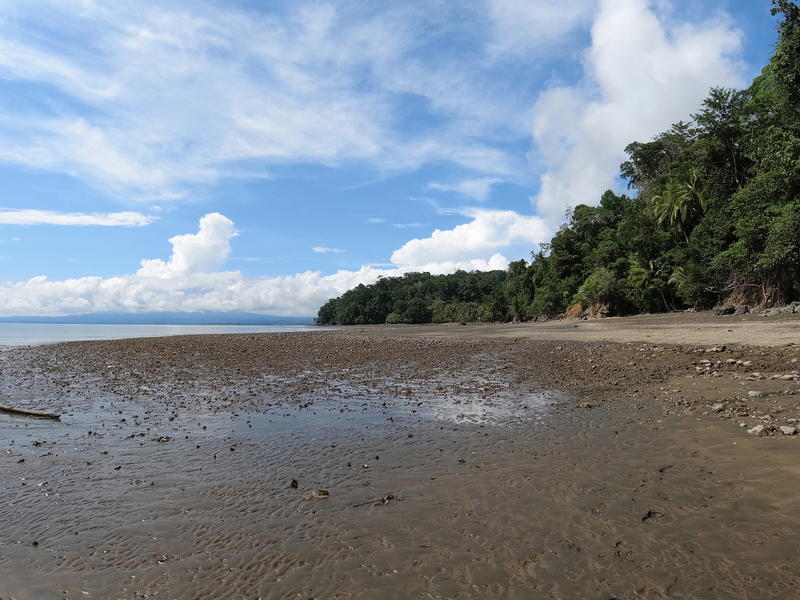 Propiedad en San Antonio
