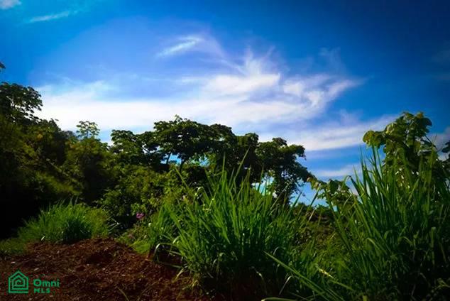 Land at Bejuco