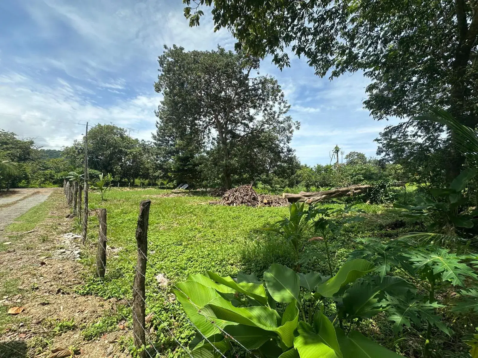 Land at Quepos