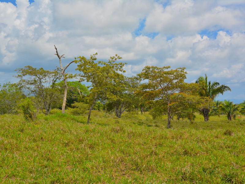 Land at Puerto Cortés
