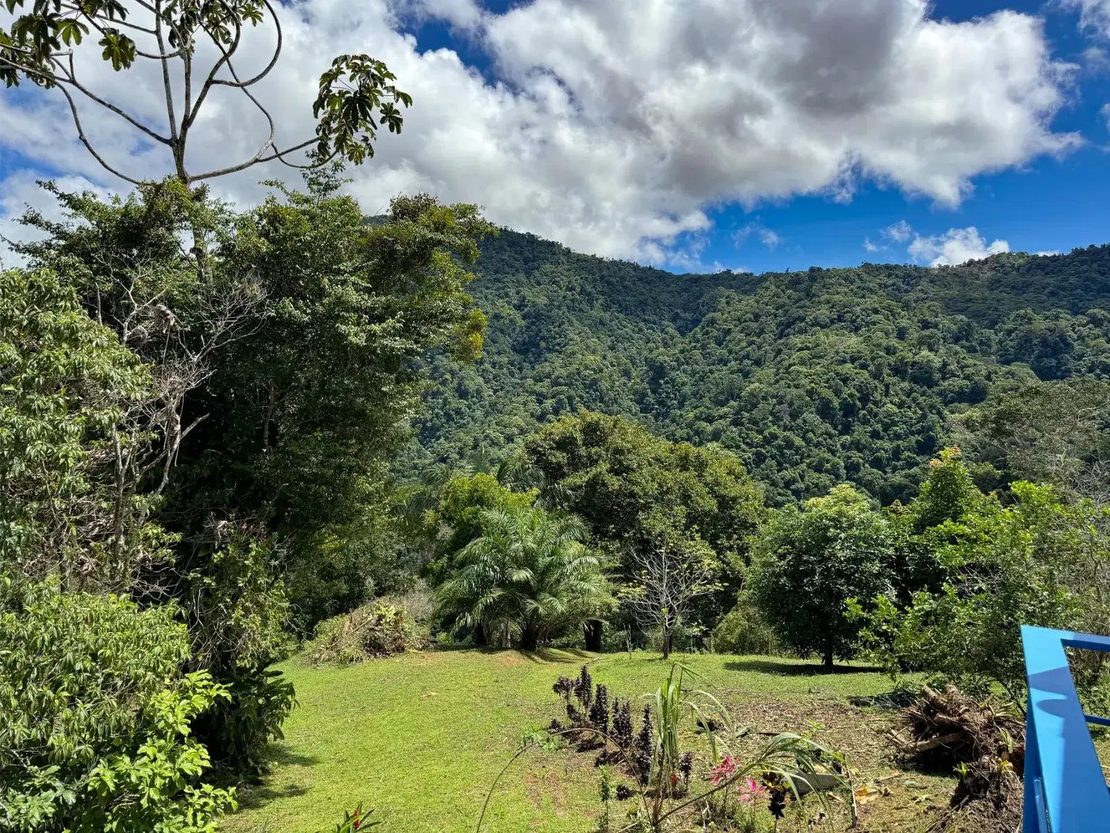 Property at Bahía Ballena