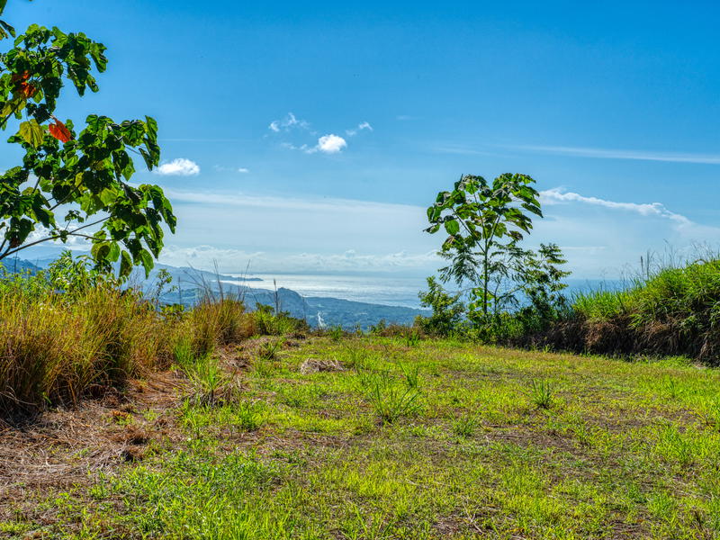 Land at Savegre