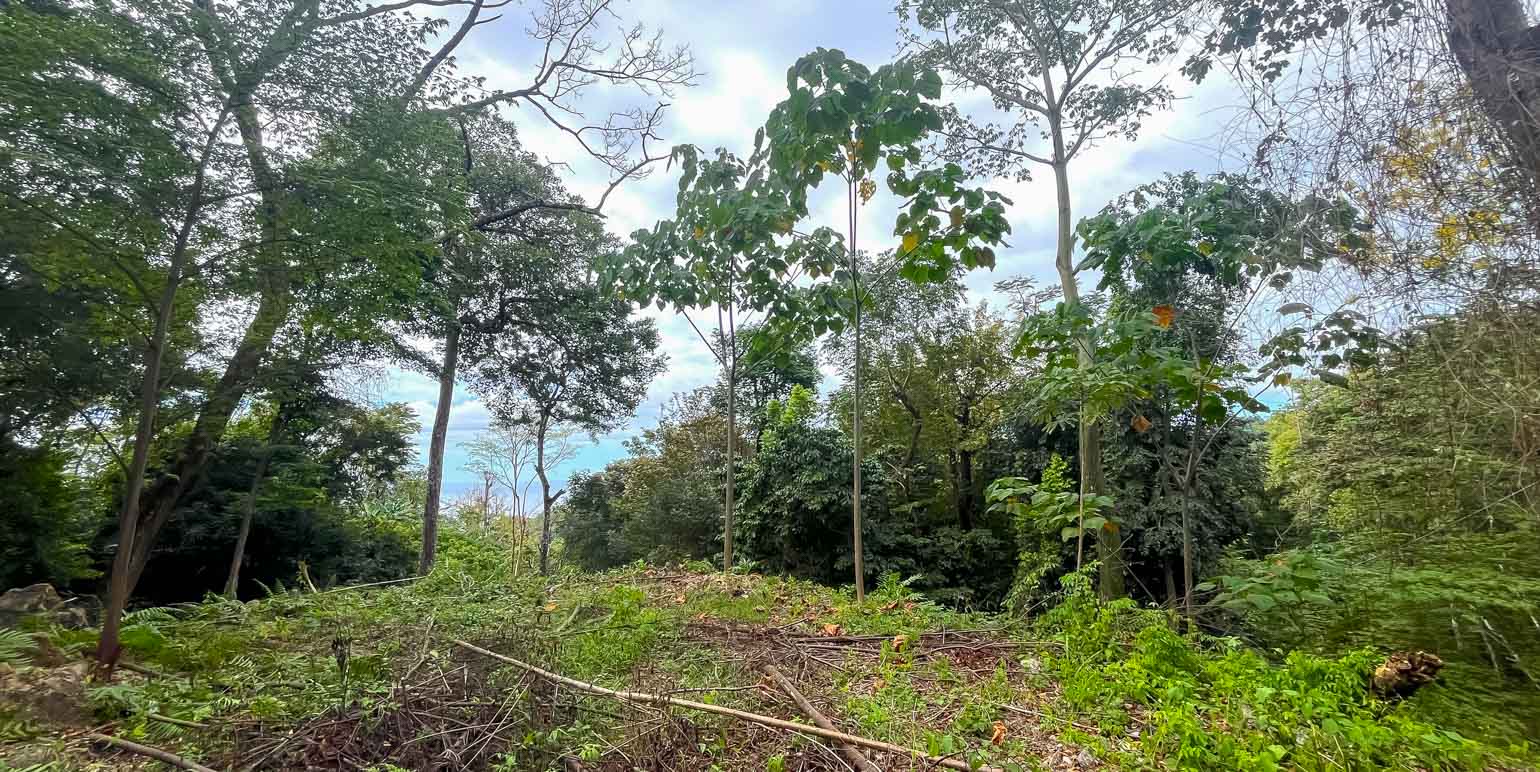 Property at Cóbano