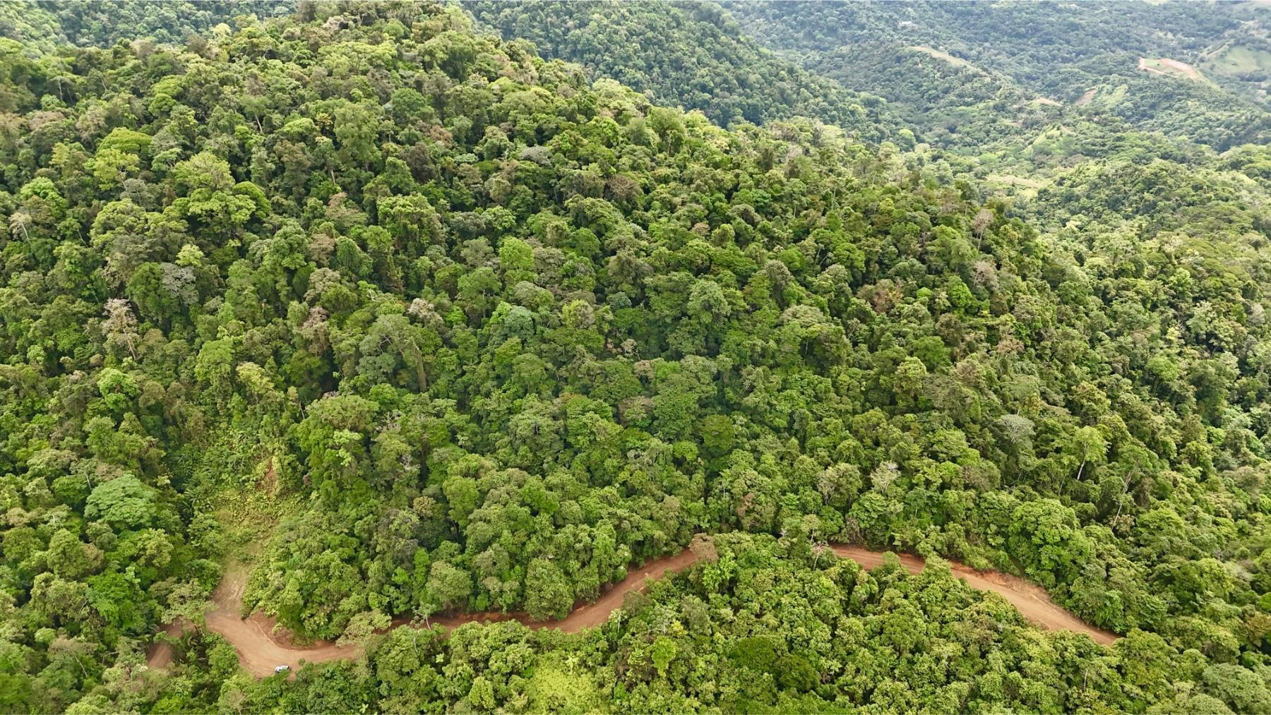 Terreno en Bahía Ballena