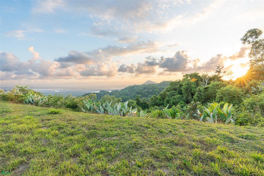 Land at Tres Rios