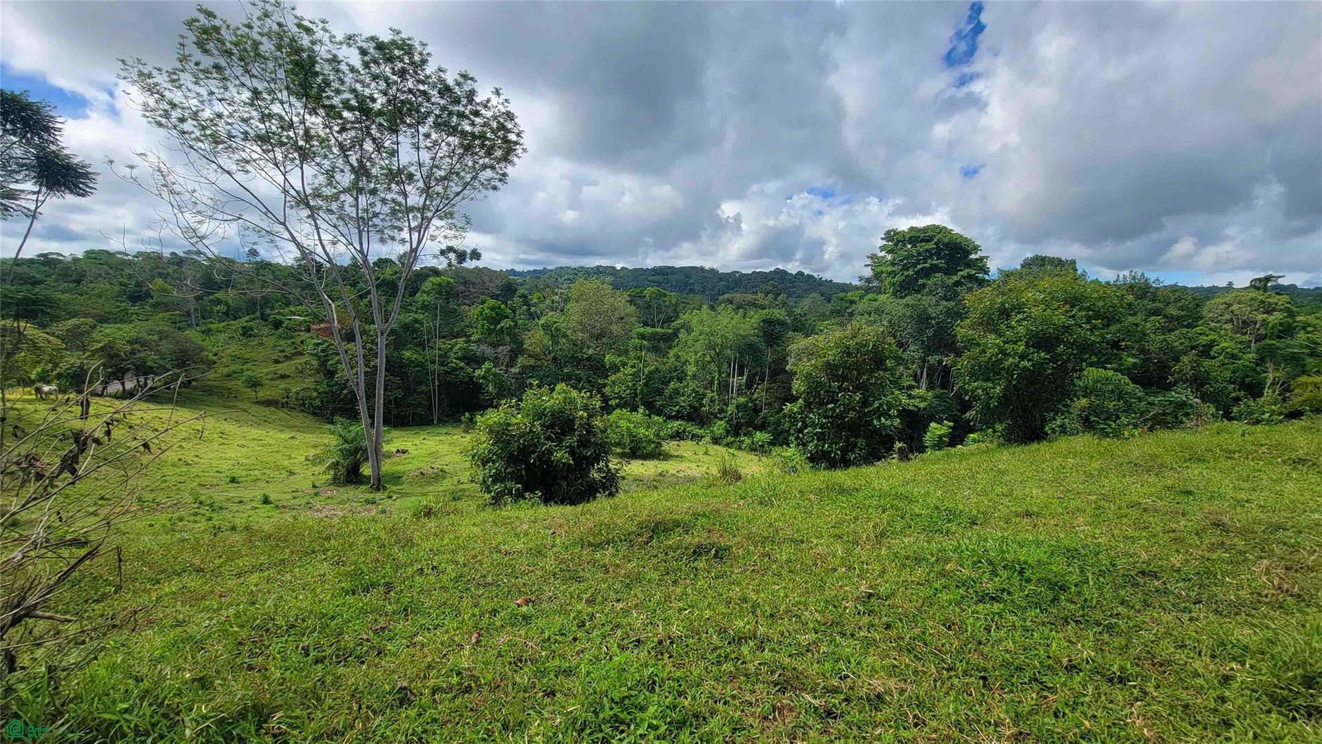 Land at Guaycará