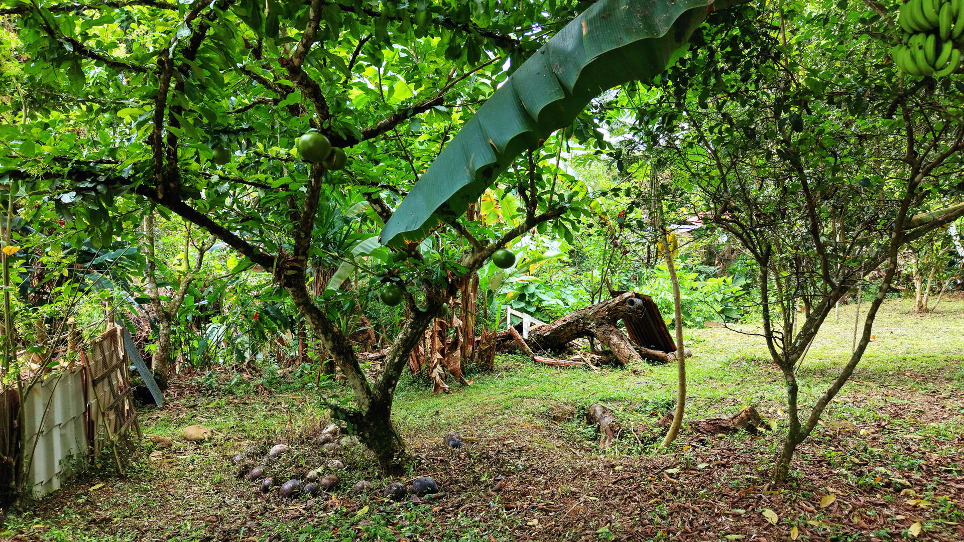 Terreno en San Isidro del General