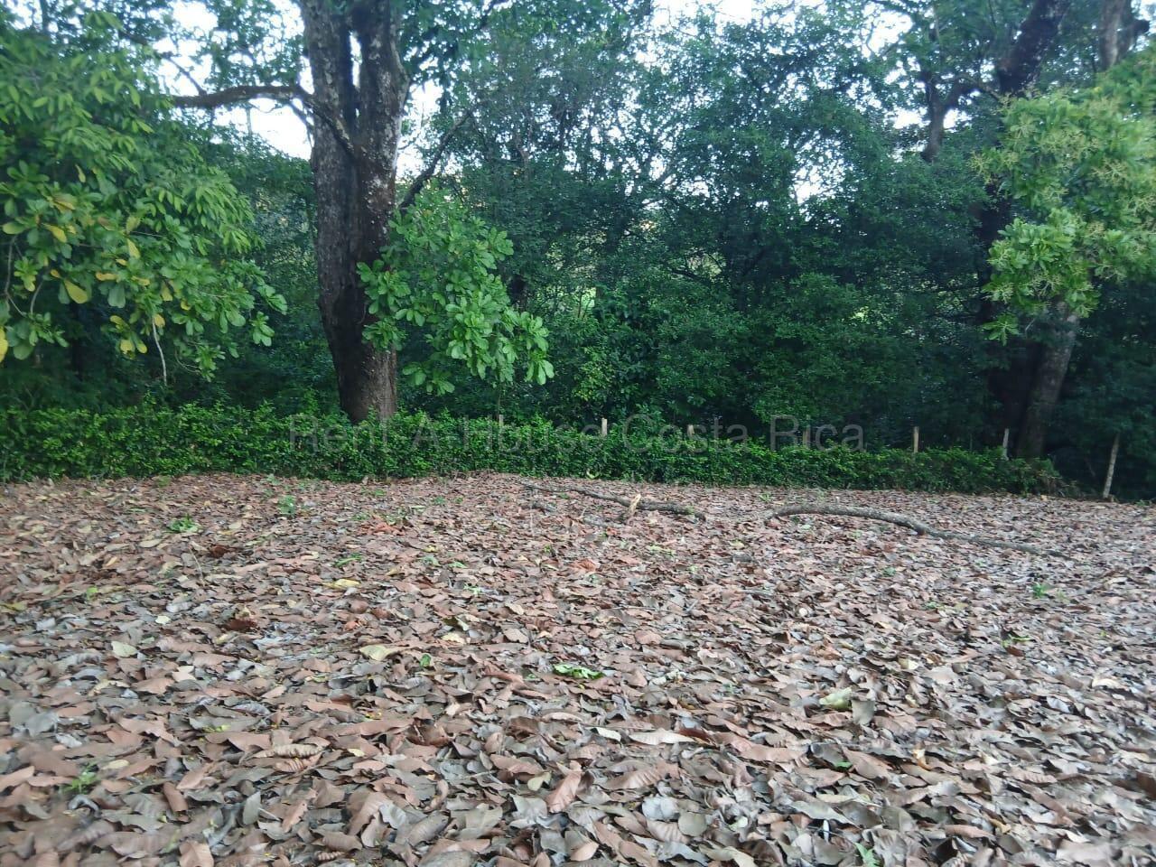 Property at Nicoya