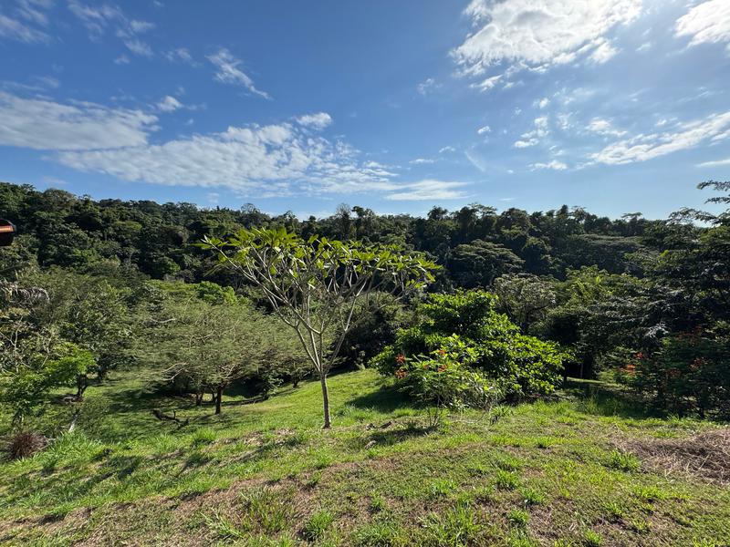 Terreno en Cóbano