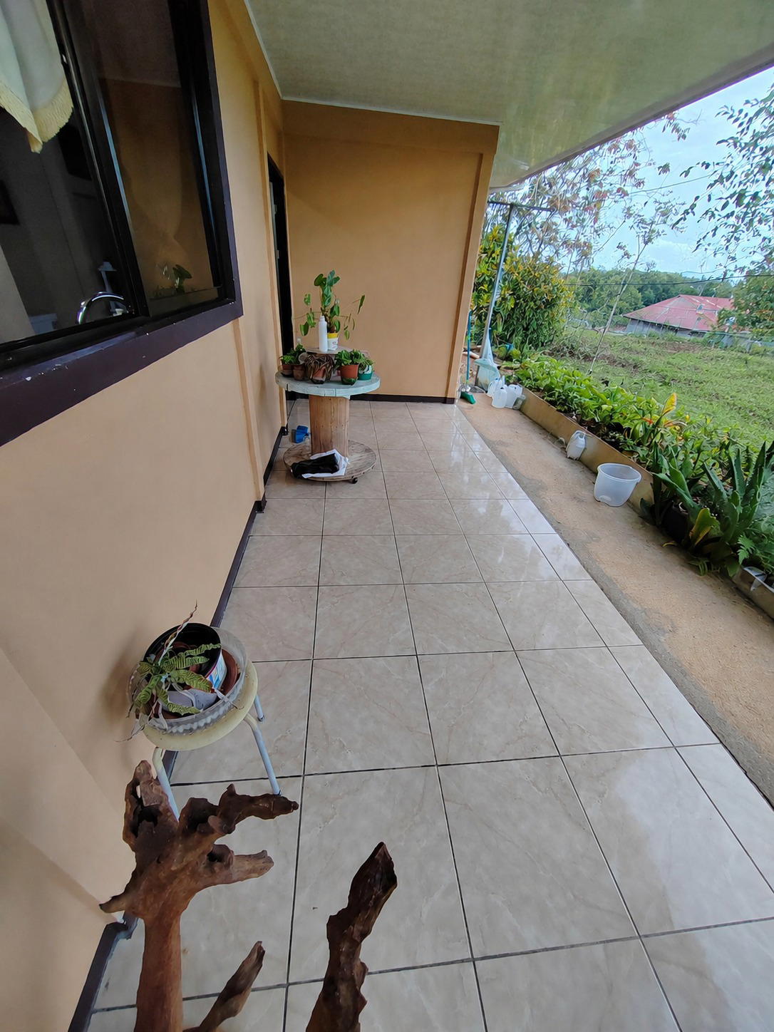House at Pocosol