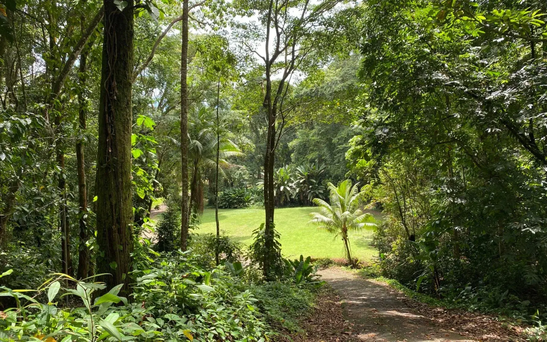 Terreno en Bahía Ballena