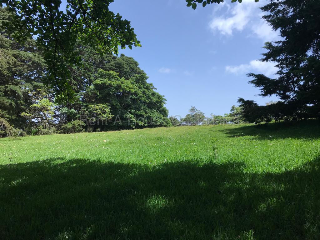 Property at Concepción