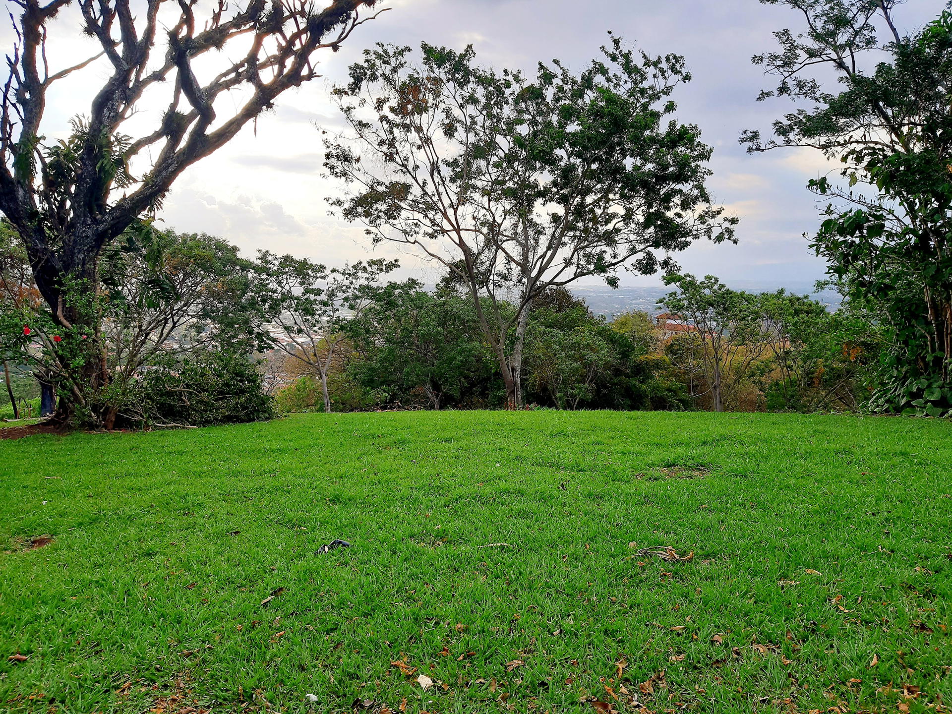 Finca en Santa Ana