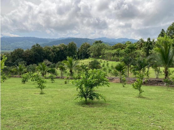 Property at Puntarenas