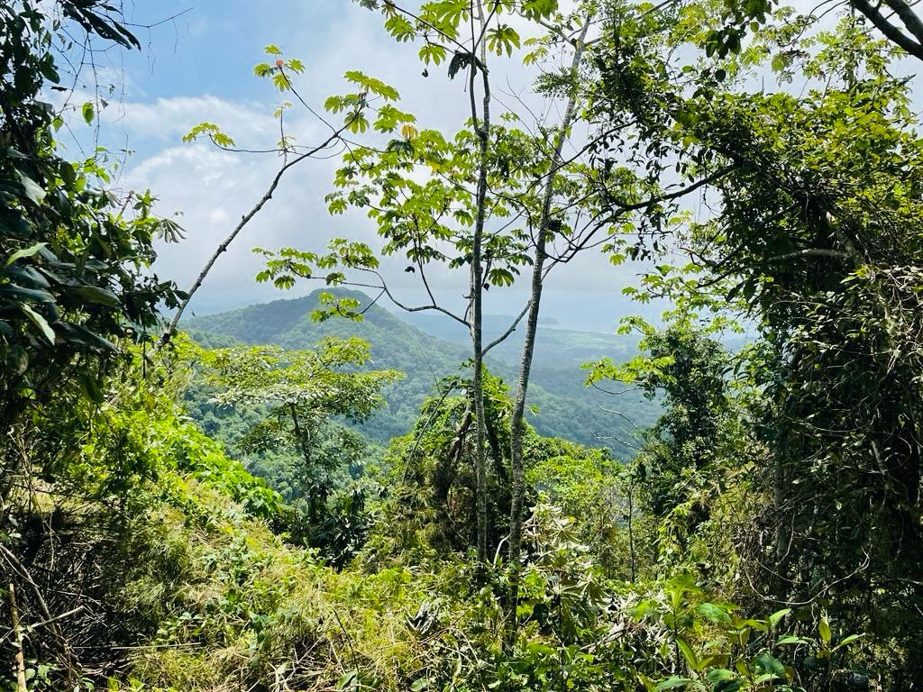 Terreno en Bejuco