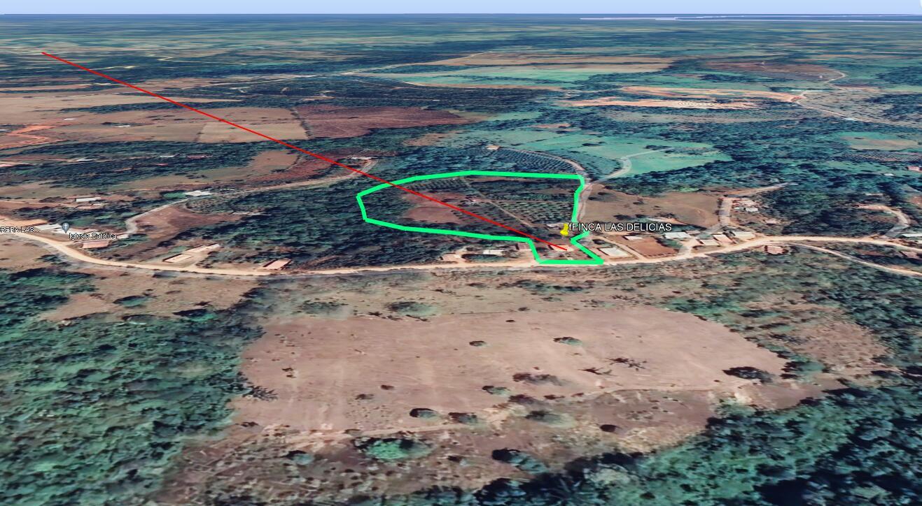 Property at Pejibaye
