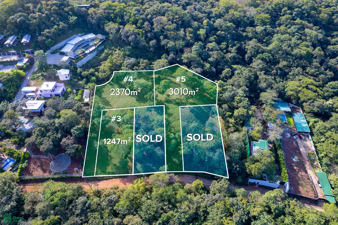 Terreno en Tamarindo