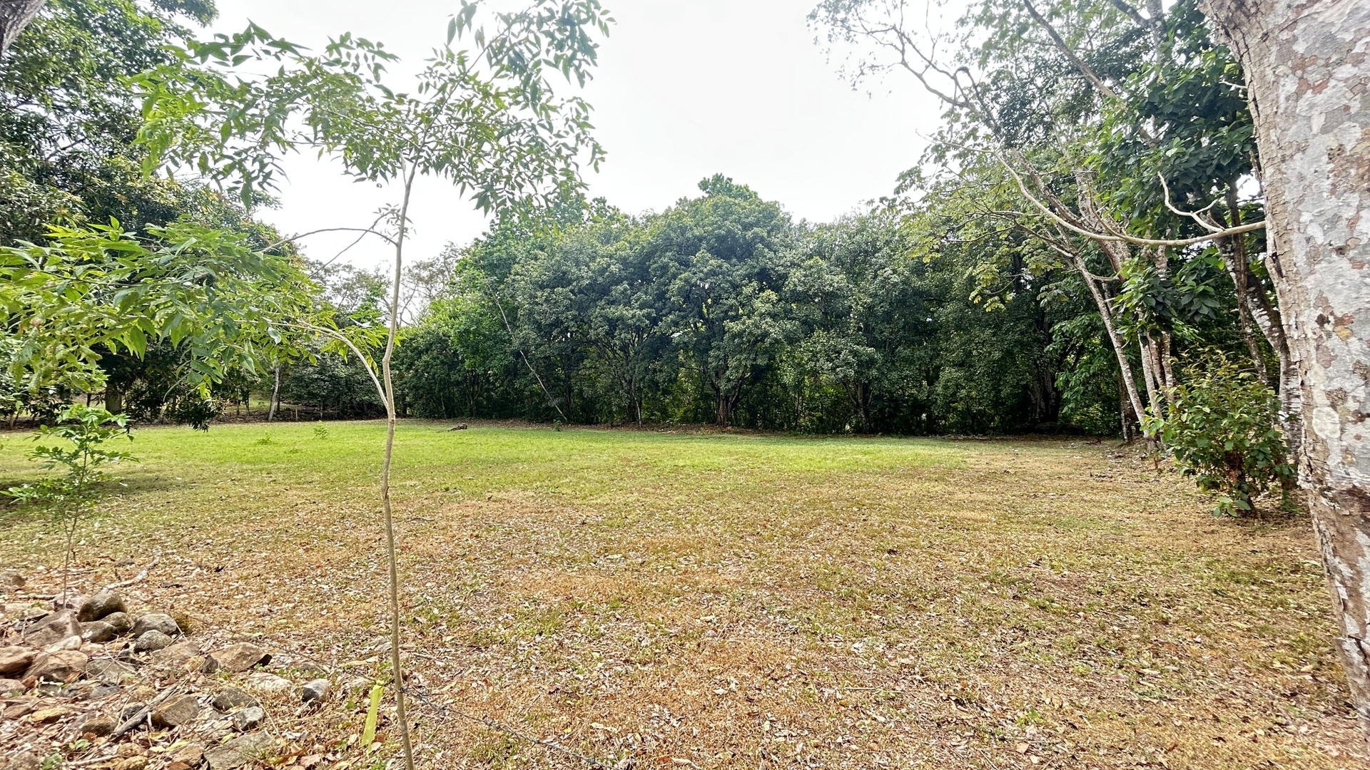 Land at San Mateo