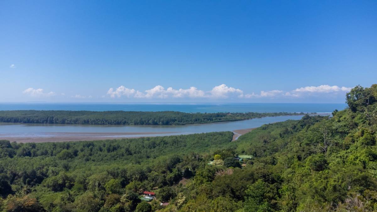 Finca en Palmar