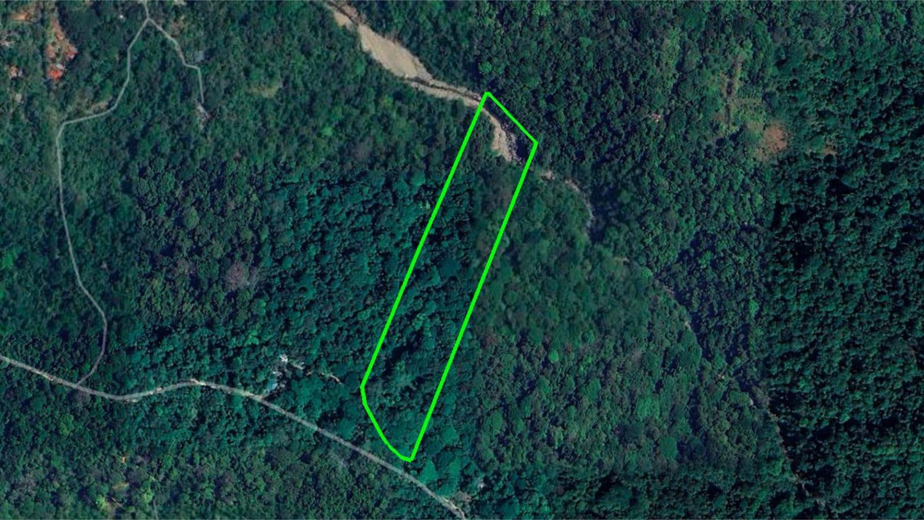 Terreno en Bahía Ballena