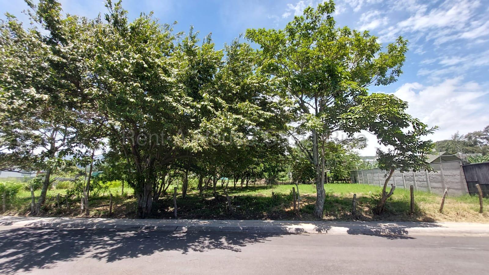 Property at Piedades