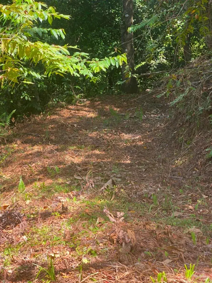 Terreno en Puerto Cortés