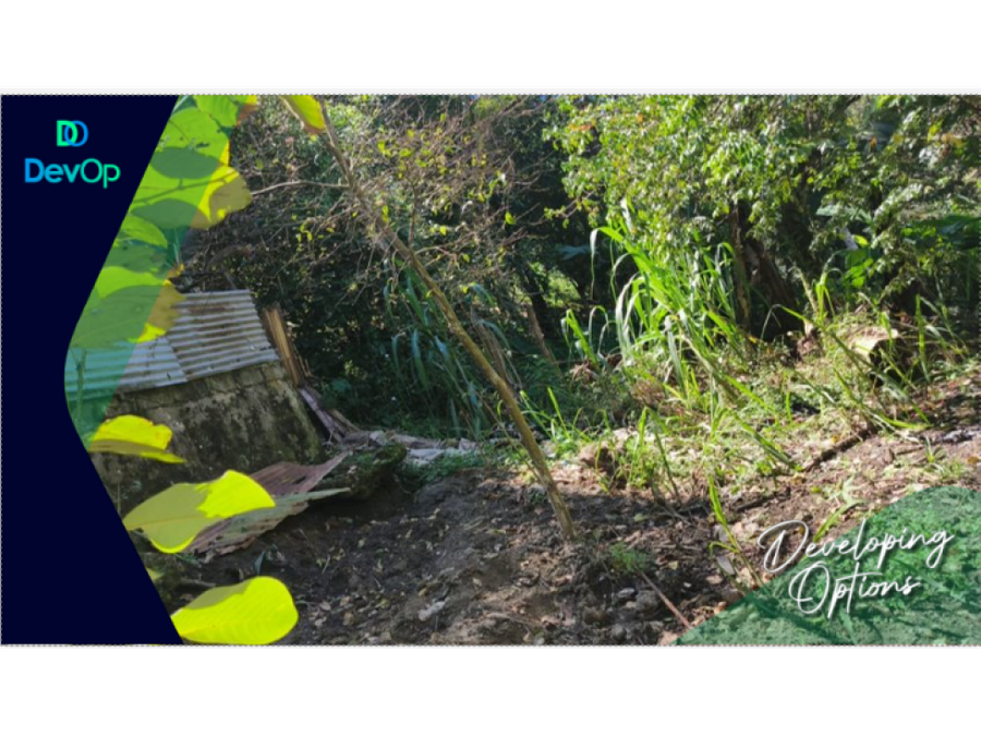 Terreno en Pejibaye