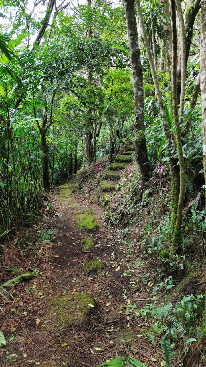 Land at Carrizal
