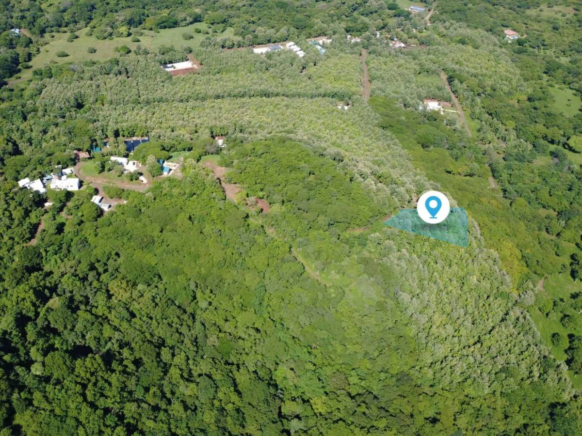 Propiedad en Avellanas