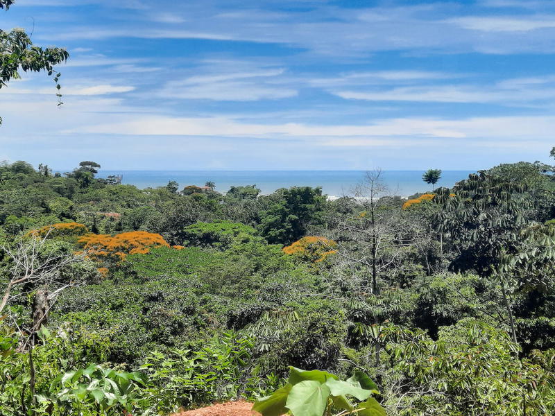 Land at Puerto Cortés