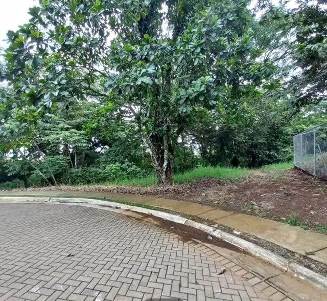 Property at Guácima
