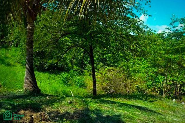 Land at Bejuco
