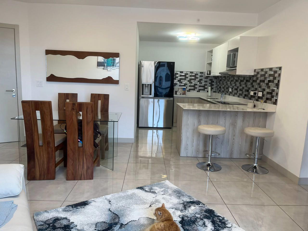 Apartment at Mata Redonda