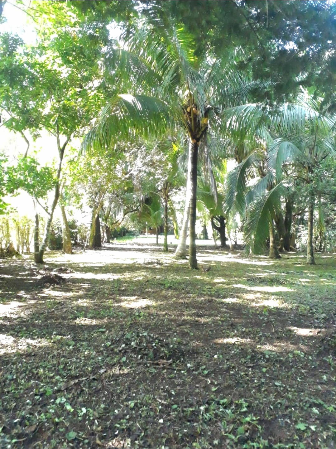 Terreno en San Pablo