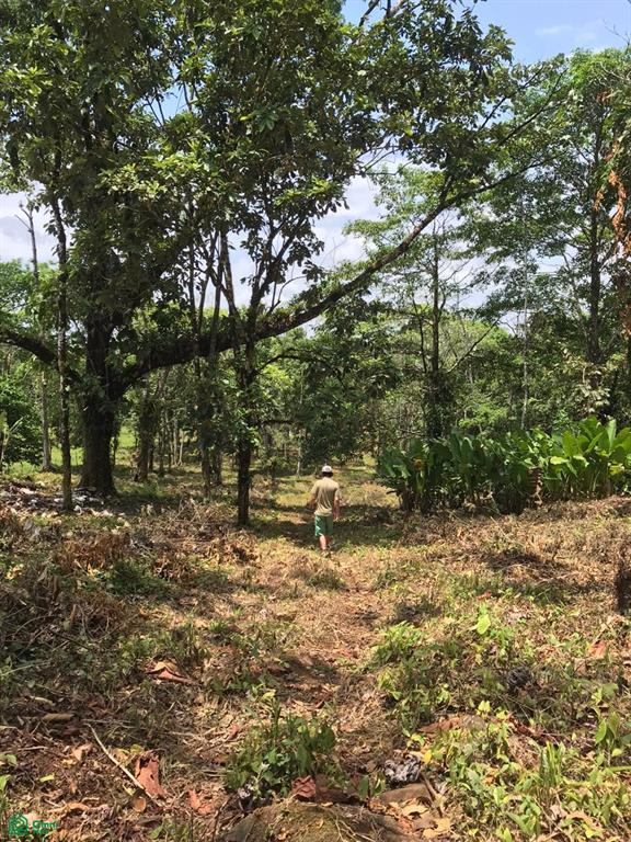 Land at Liberia