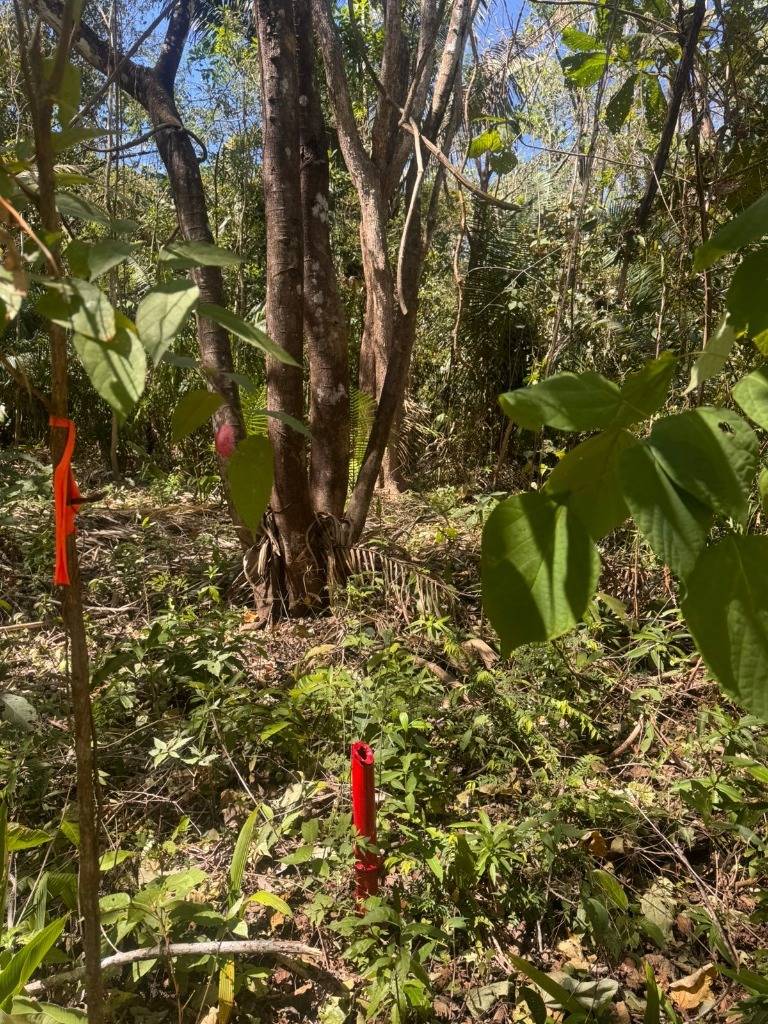 Finca en Playa Carrillo
