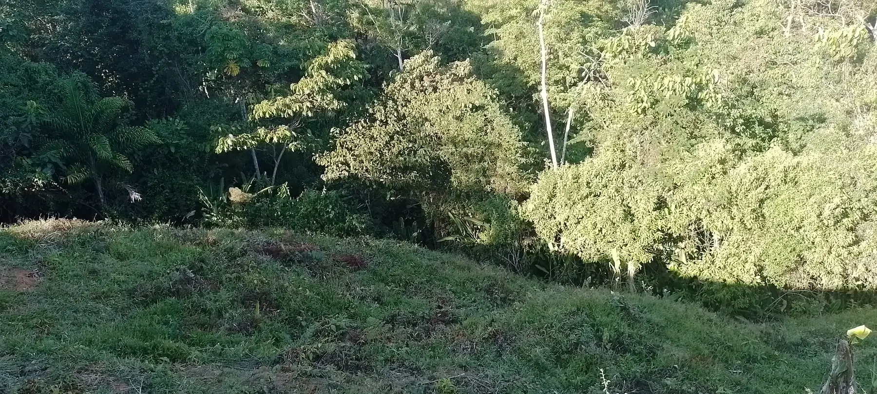 Terreno en Platanares