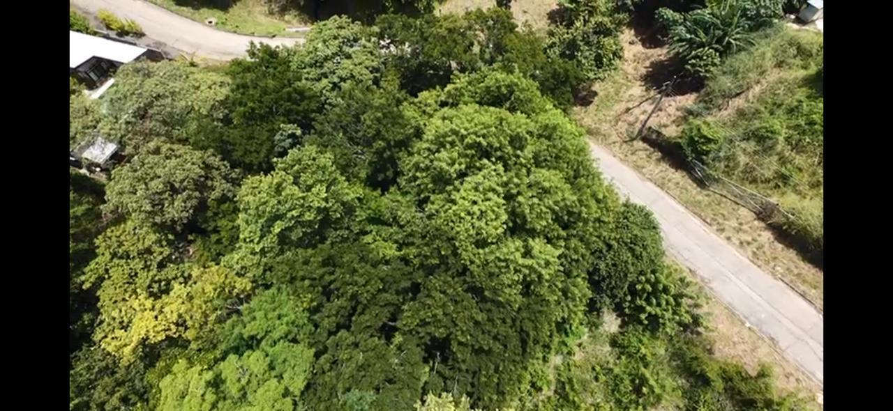 Property at Tamarindo