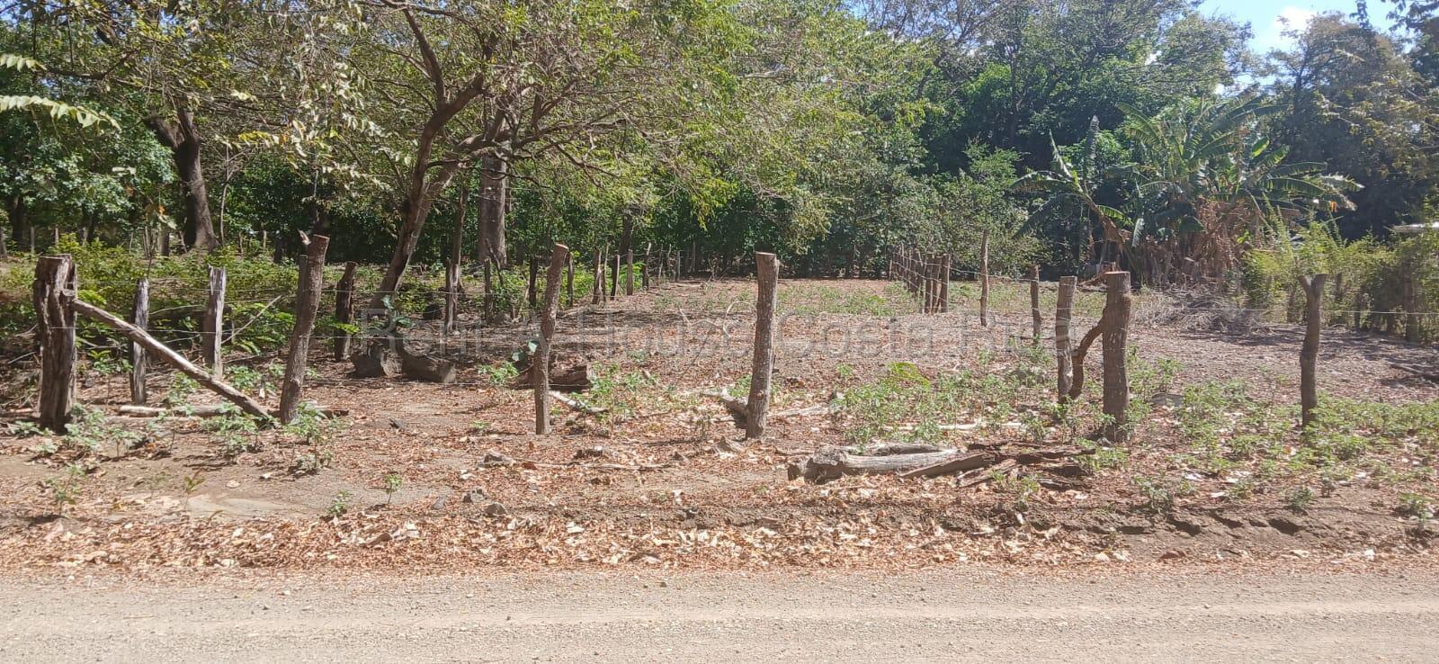 Property at Santa Cruz