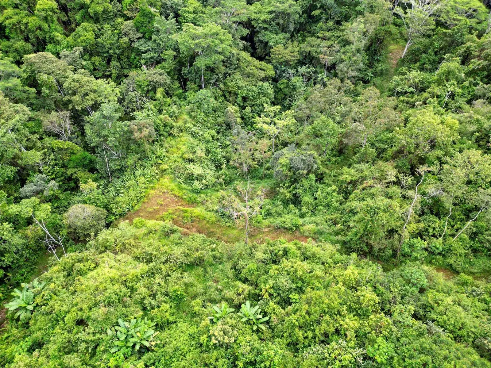 Land at Quepos