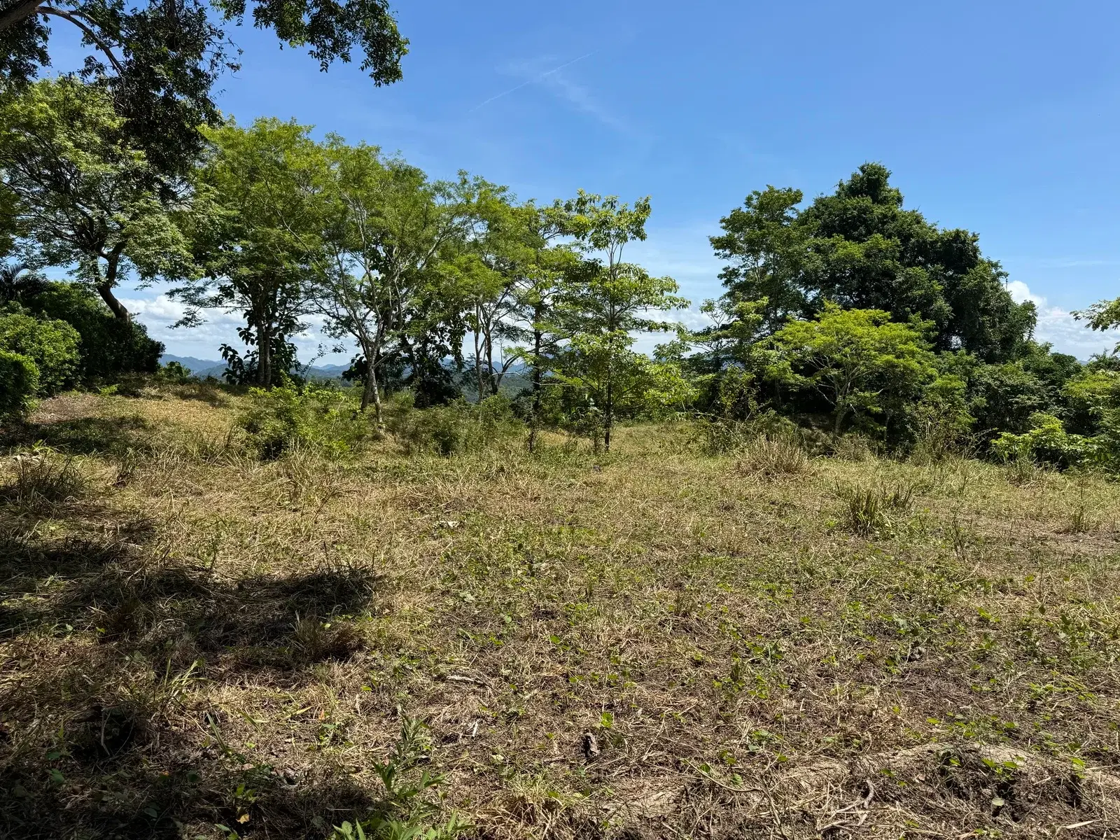 Terreno en Cóbano