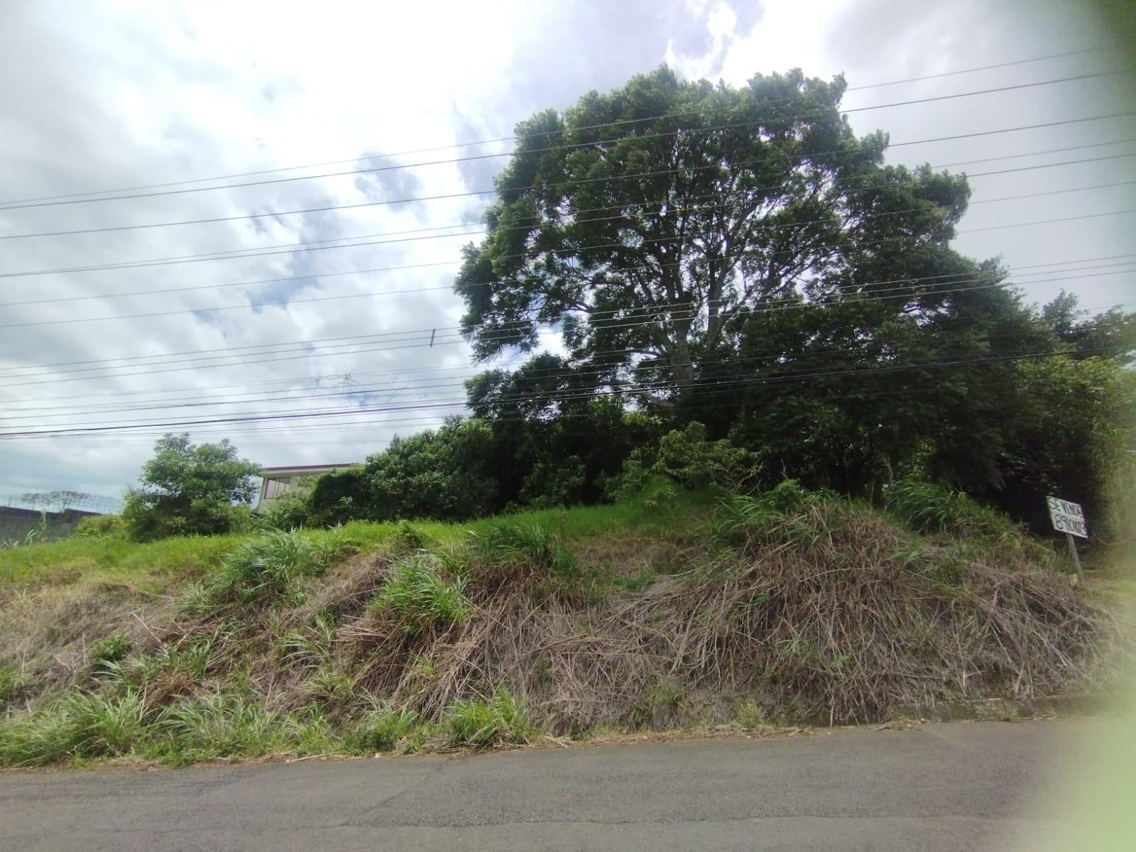 Property at Concepción