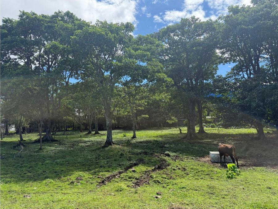 Terreno en San Pedro