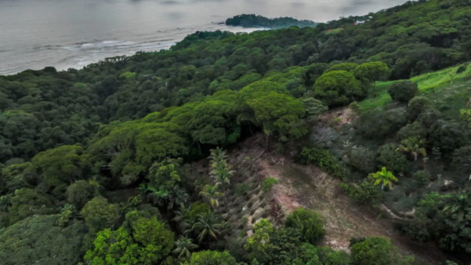 Terreno en Bahía Ballena