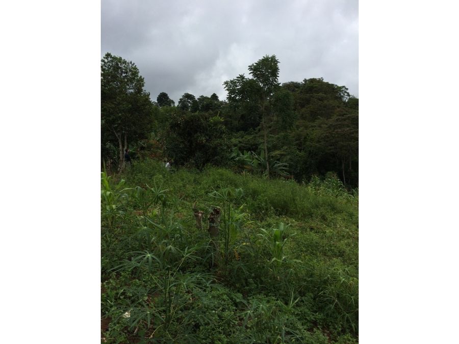 Terreno en San Isidro de El General
