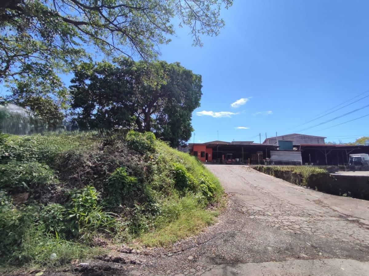 Property at Alajuela