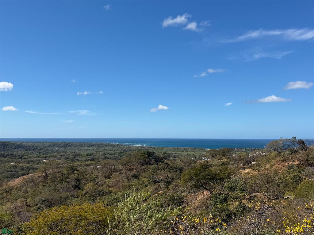 Land at Santa Cruz