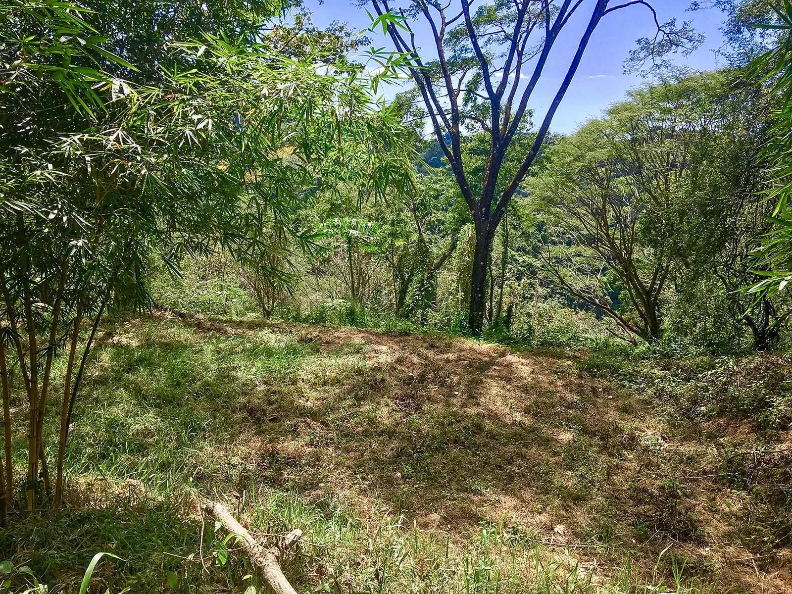 Terreno en Cóbano